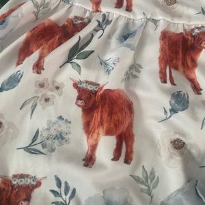 Baby blue-white hyland cow set